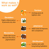 Orange Scrub - 200 gm ( Pack of 2 )