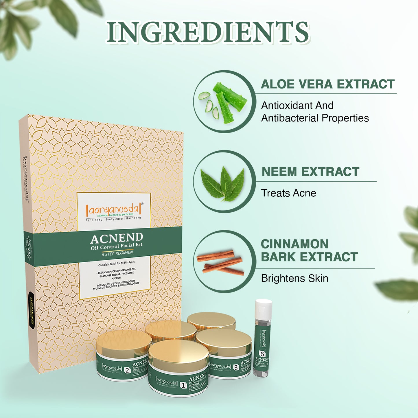 Acnend Oil Control Facial Kit-260gm