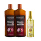 Aaryanveda Hair Repair & Restore Kit ( Onion Oil 100 ml + Onion Shampoo 100 ml+ Hair Serum 100 ml )